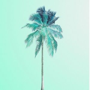 Meet your Posher, Mia